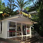 Merhaba 3* Алания