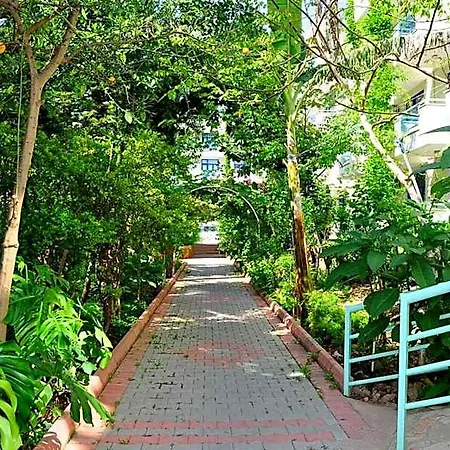 Merhaba 3* Alanya